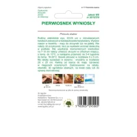 Pierwiosnek wyniosły (Prymula) – mix – 0,3 g Legutko tył
