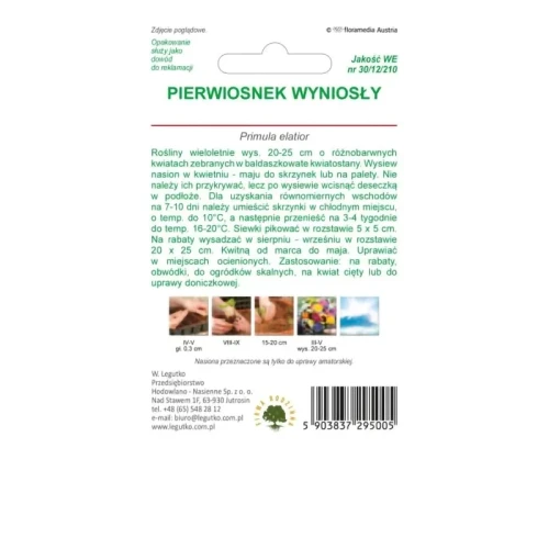 Pierwiosnek wyniosły (Prymula) – mix – 0,3 g Legutko tył