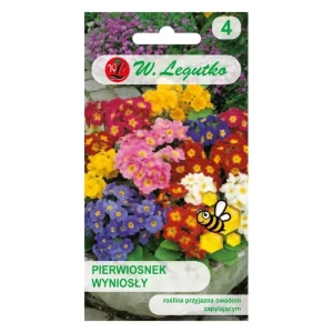 Pierwiosnek wyniosły (Primula elatior) – wiosenne kwiaty w mixie kolorów, roślina wieloletnia – Nasiona Legutko