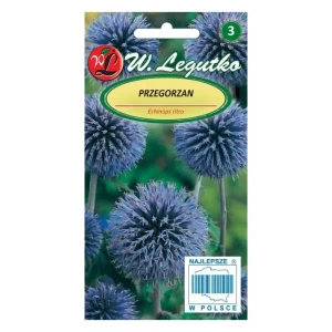 Przegorzan niebieski (Echinops ritro) – kuliste kwiatostany, roślina wieloletnia – Nasiona Legutko