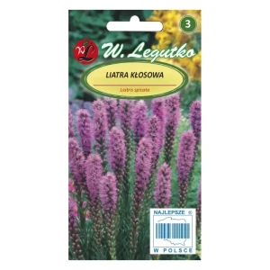 Liatra kłosowa – różowo-fioletowa, miododajna bylina – Nasiona Legutko