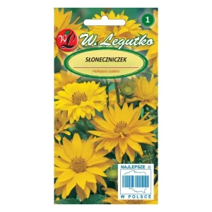 Słoneczniczek Heliopsis – żółta bylina o długim okresie kwitnienia – Nasiona Legutko