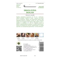 Smagliczka skalna – żółta – 0,5 g Legutko tył