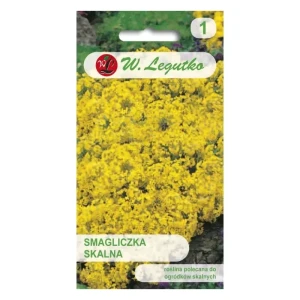 Smagliczka skalna – żółta bylina do ogrodów skalnych i murków – Nasiona Legutko