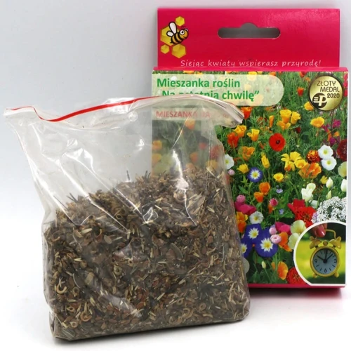Mieszanka roślin jednorocznych na ostatnią chwilę – 125 g Legutko foto 1