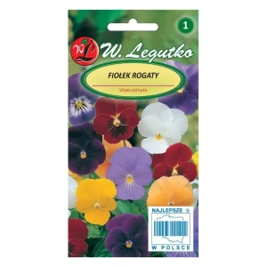 Fiołek rogaty – mix kolorów, długokwitnąca odmiana miniaturowa – Nasiona Legutko