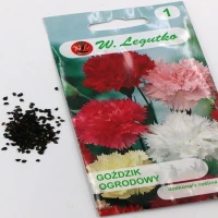 Goździk ogrodowy – mix – 0,5 g Legutko foto