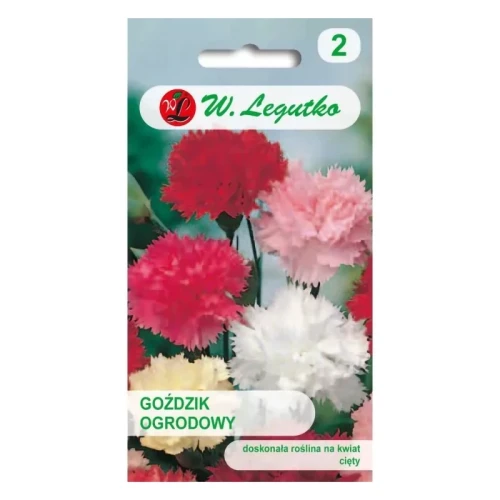 Goździk ogrodowy – mix – 0,5 g Legutko