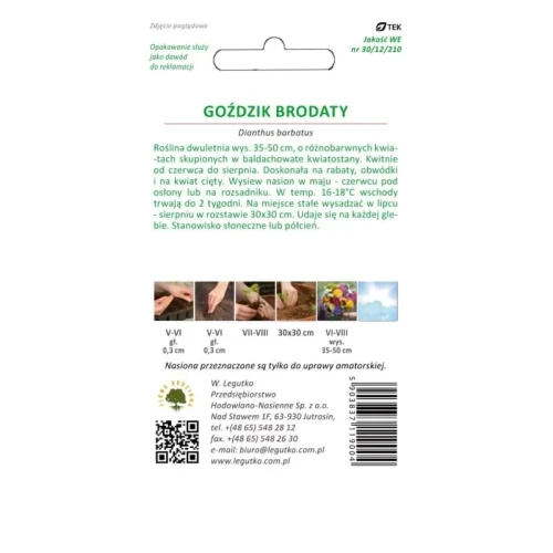 Goździk brodaty pojedynczy – mix – 1 g Legutko tył
