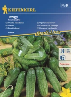 Ogórek gruntowy Twigy F1 (następca Charlotte) – Kiepenkerl przód