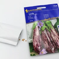 Bakłażan 'Lucilla' F1 – Nasiona – Kiepenkerl foto