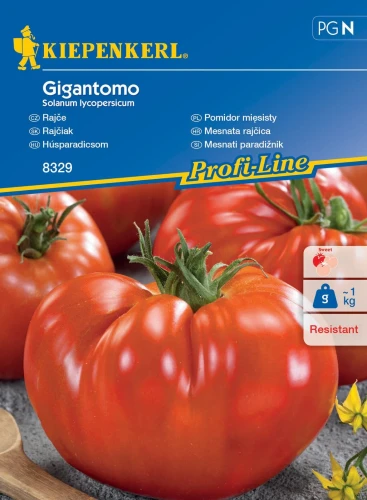 Pomidor mięsisty Gigantomo F1 – Nasiona – Kiepenkerl przód