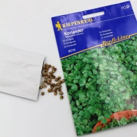 Kolendra - nasiona Kiepenkerl foto