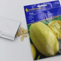 Dynia Pyza (spaghetti) – Nasiona – Kiepenkerl foto