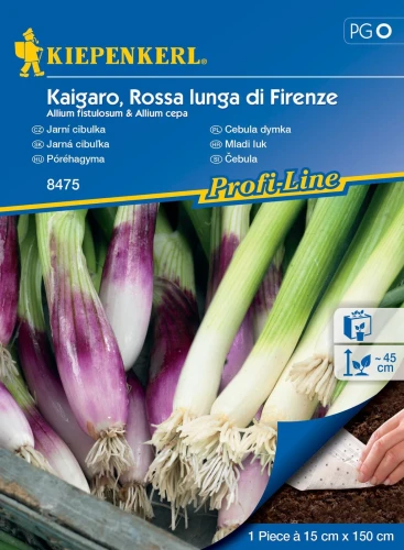 Cebula dymka Kaigaro &amp;amp; Rossa lunga di Firenze – mieszanka na taśmie – Nasiona – Kiepenkerl przód