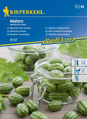 Ogórek meksykański Mateo – Nasiona – Kiepenkerl przód