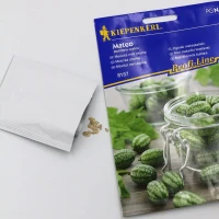 Ogórek meksykański Mateo – Nasiona – Kiepenkerl foto