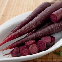 Marchew Purple Sun F1 - nasiona Kiepenkerl