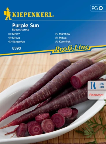 Marchew Purple Sun F1 - nasiona Kiepenkerl przód