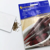 Marchew Purple Sun F1 - nasiona Kiepenkerl foto