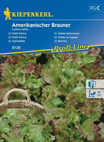 Sałata karbowana Amerikanischer Brauner - nasiona Kiepenkerl przód