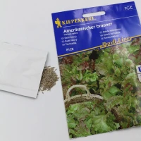 Sałata karbowana Amerikanischer Brauner - nasiona Kiepenkerl foto