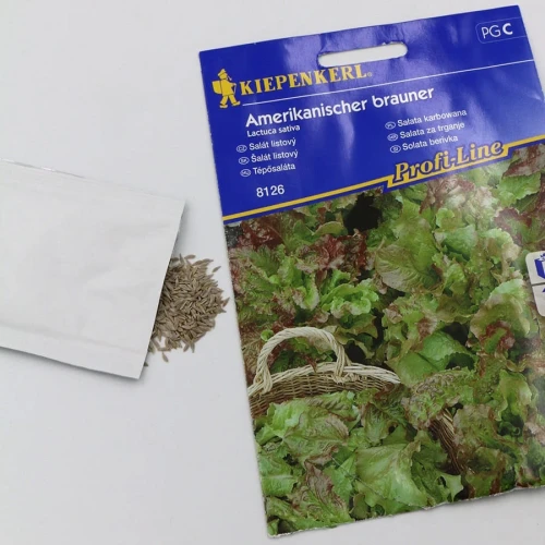 Sałata karbowana Amerikanischer Brauner - nasiona Kiepenkerl foto