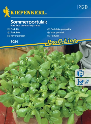 Portulaka pospolita Sommerportulak - nasiona Kiepenkerl przód