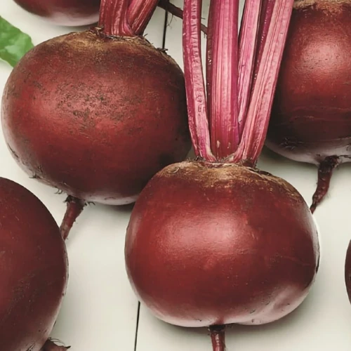 Burak ćwikłowy Pablo F1 - nasiona Kiepenkerl