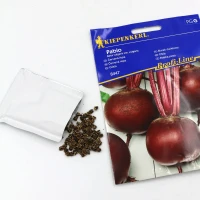 Burak ćwikłowy Pablo F1 - nasiona Kiepenkerl foto