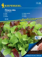 Sałata siewna Fitness Mix F1 - nasiona Kiepenkerl przód