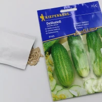 Ogórek sałatkowy Delikates - nasiona Kiepenkerl foto