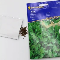 Rukola Ruca - nasiona Kiepenkerl foto
