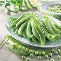 Groch łuskowy Germana – nasiona Kiepenkerl