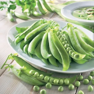 Groch łuskowy 'Germana' – Nasiona – Kiepenkerl