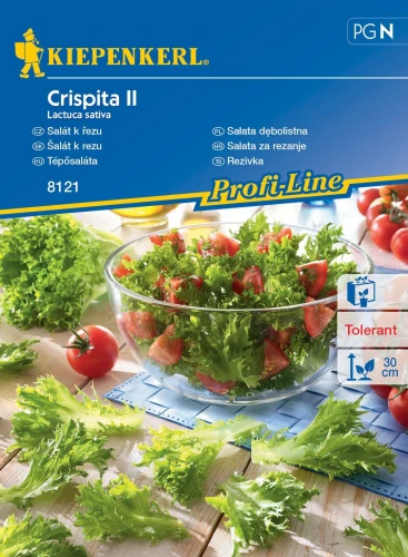 Sałata dębolistna Crispita II – nasiona Kiepenkerl przód