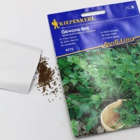 Seler liściasty Gewone Snij - nasiona Kiepenkerl foto