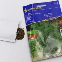 Koper doniczkowy Ella – nasiona Kiepenkerl foto