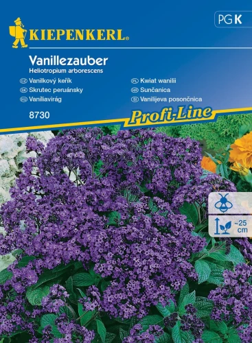 Kwiat wanilii Vanillezauber - nasiona Kiepenkerl przód