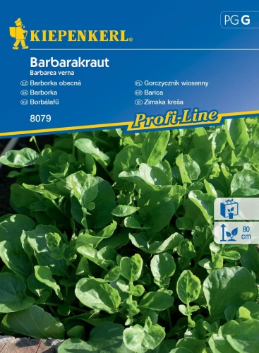 Gorczycznik wiosenny Barbarakrau – nasiona Kiepenkerl przód