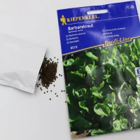 Gorczycznik wiosenny Barbarakrau – nasiona Kiepenkerl foto