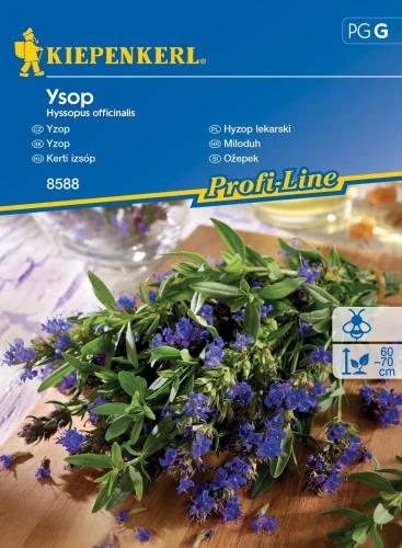 Hyzop lekarski Ysop – nasiona Kiepenkerl przód