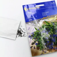 Hyzop lekarski Ysop – nasiona Kiepenkerl foto