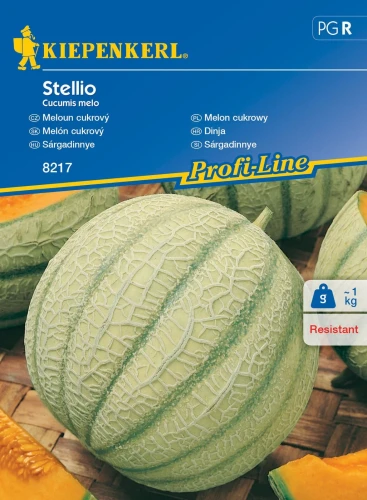 Melon cukrowy Stellio F1 – nasiona Kiepenkerl przód
