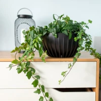 Doniczka Misa Mira Eco Recycled 240 mm foto 1