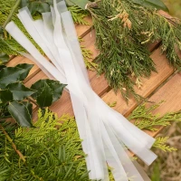 Paski do okulizacji i szczepienia roślin foto 1