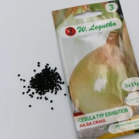 Cebula Ailsa Craig 2 g Legutko foto