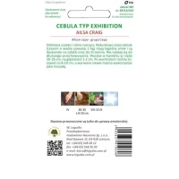 Cebula Ailsa Craig 2 g Legutko tył