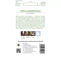 Cebula Siedmiolatka Winter Nest 2 g Legutko tył