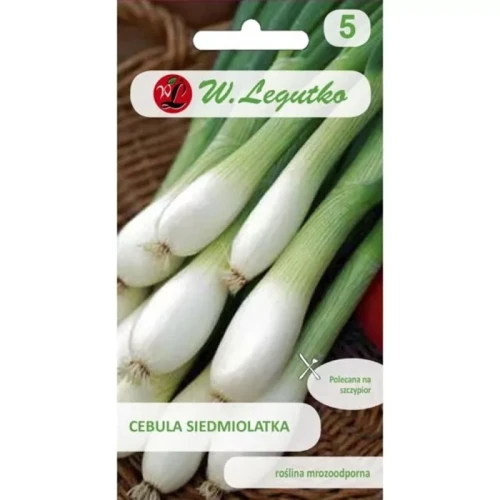 Cebula Siedmiolatka Winter Nest 2 g Legutko przód